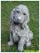 Steinfigur Cocker Spaniel