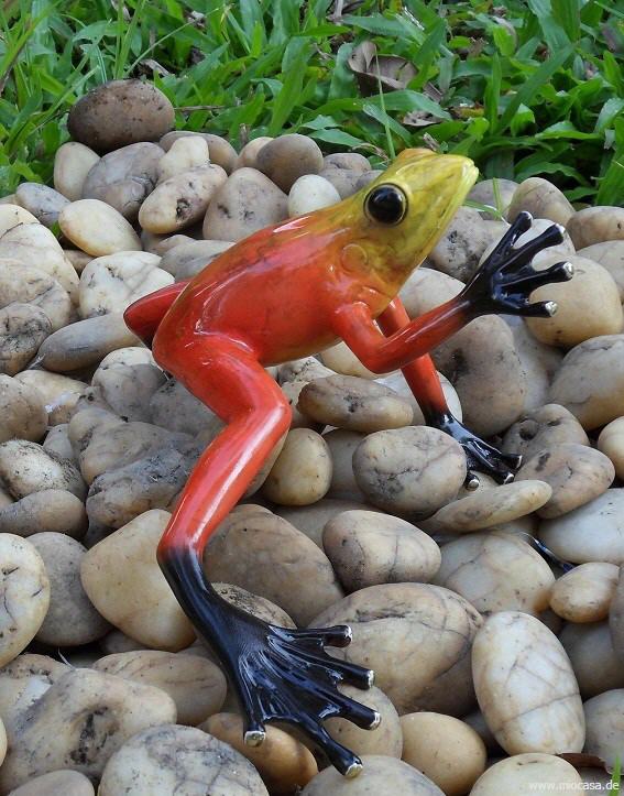 Regenwald Frosch rot aus Bronze