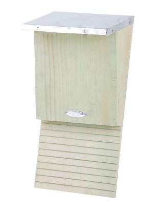 Fledermaushöhle Holz