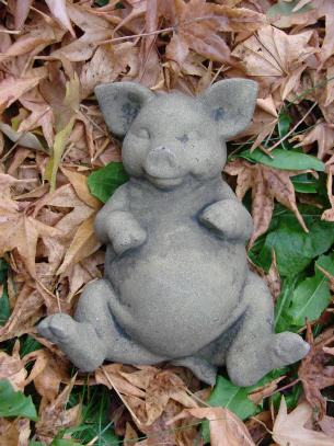 Faules Schwein auf dem Rücken