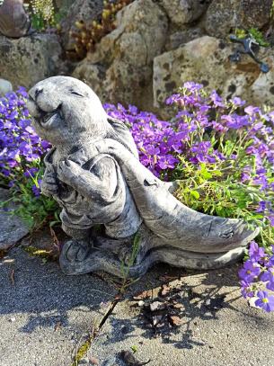 Carrot Planter