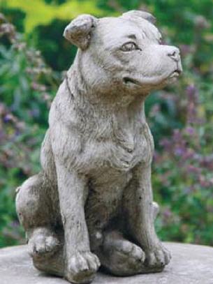 Stafford Bull Terrier
