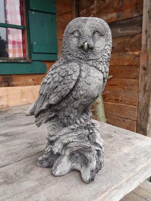 Medium Barn Owl