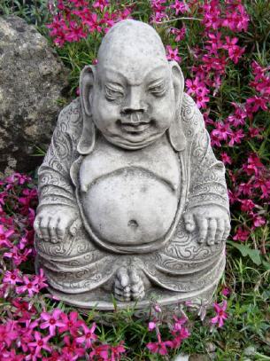 Belly Buddha